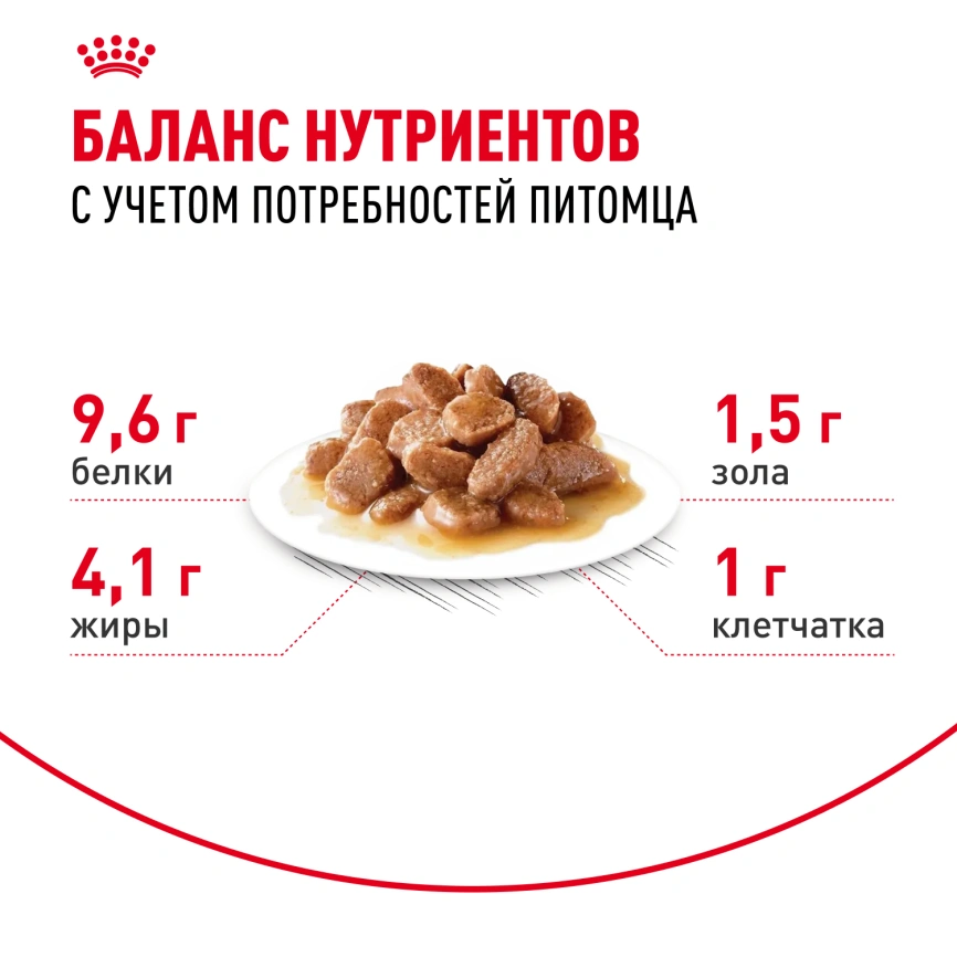 Влажный корм Royal Canin Ageing 12+ в соусе для стареющих кошек старше 12 лет, пауч, 85 г фото 4