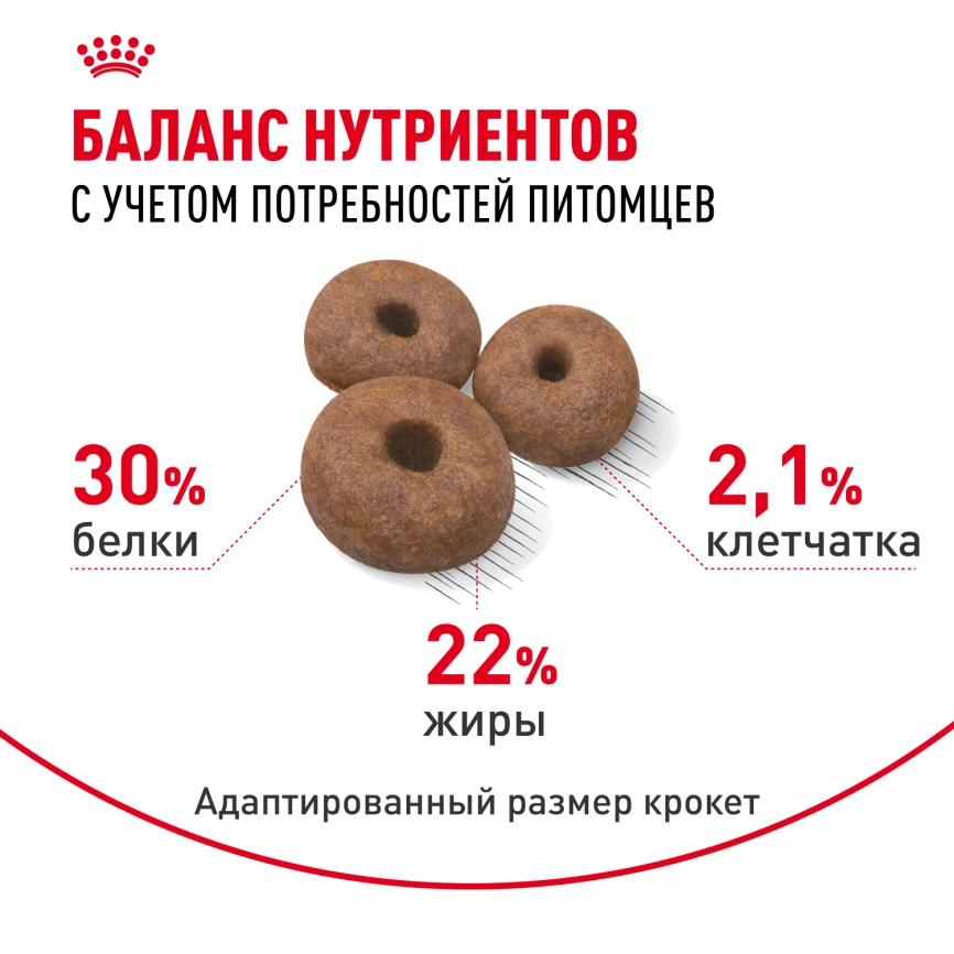 Сухой корм Royal Canin Giant Starter Mother & Babydog для щенков и собак, 4 кг фото 4