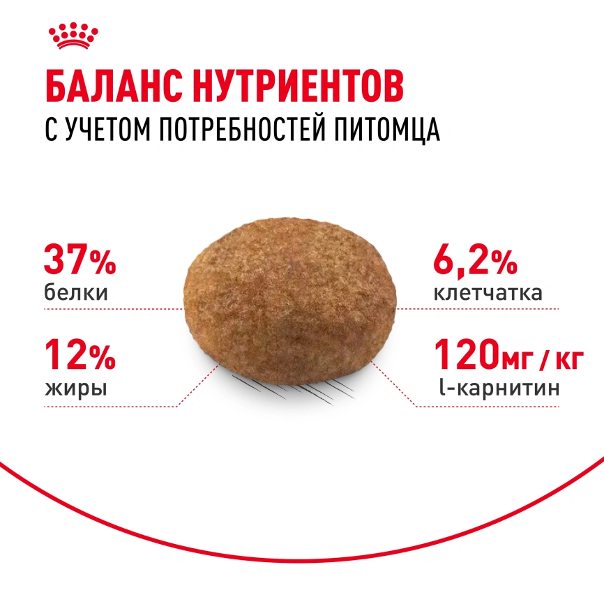 Сухой корм Royal Canin Sterilised для кастрированных котов и стерилизованных кошек, фото 4