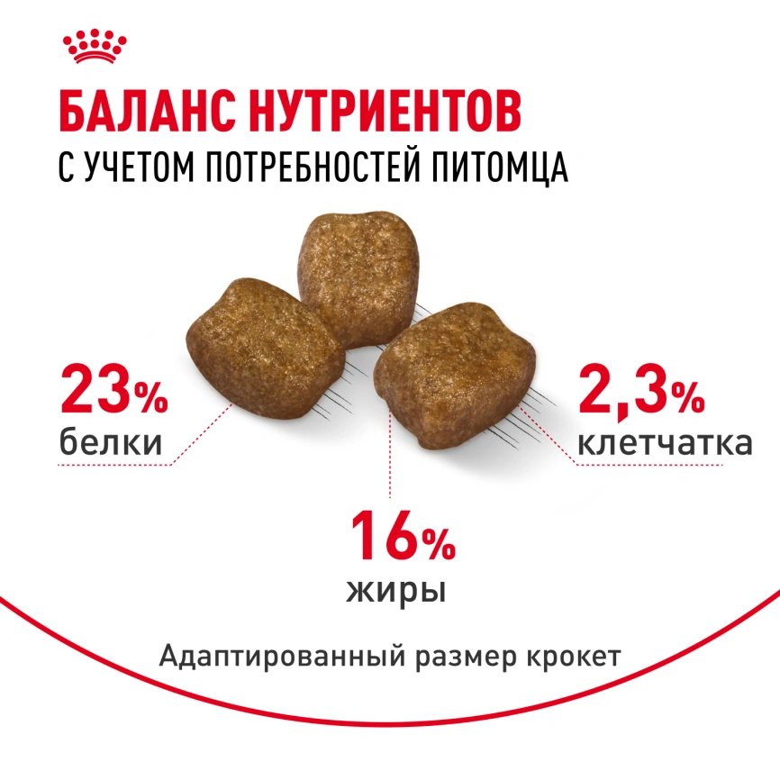 Сухой корм Royal Canin Mini Dental Care для собак, 1 кг фото 4
