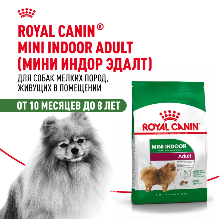 Сухой корм Royal Canin Mini Indoor Adult для собак, 10 кг фото 14