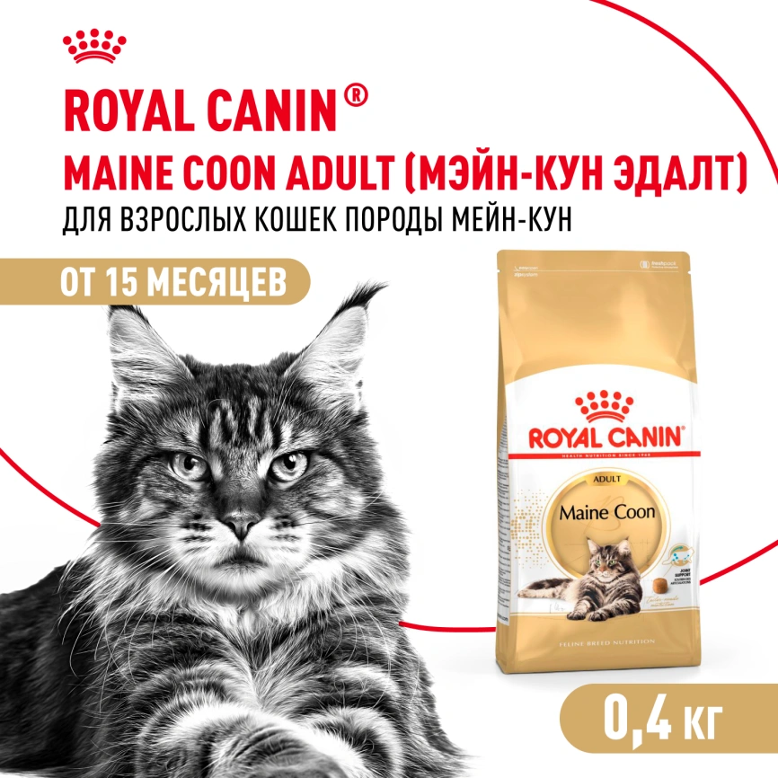 Сухой корм Royal Canin Maine Coon для кошек, 400 г фото 1