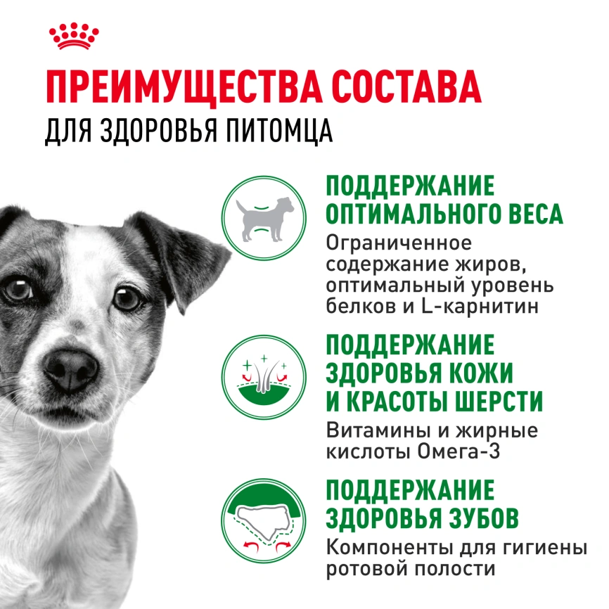 Сухой корм Royal Canin Mini Adult для взрослых собак, 4 кг фото 3