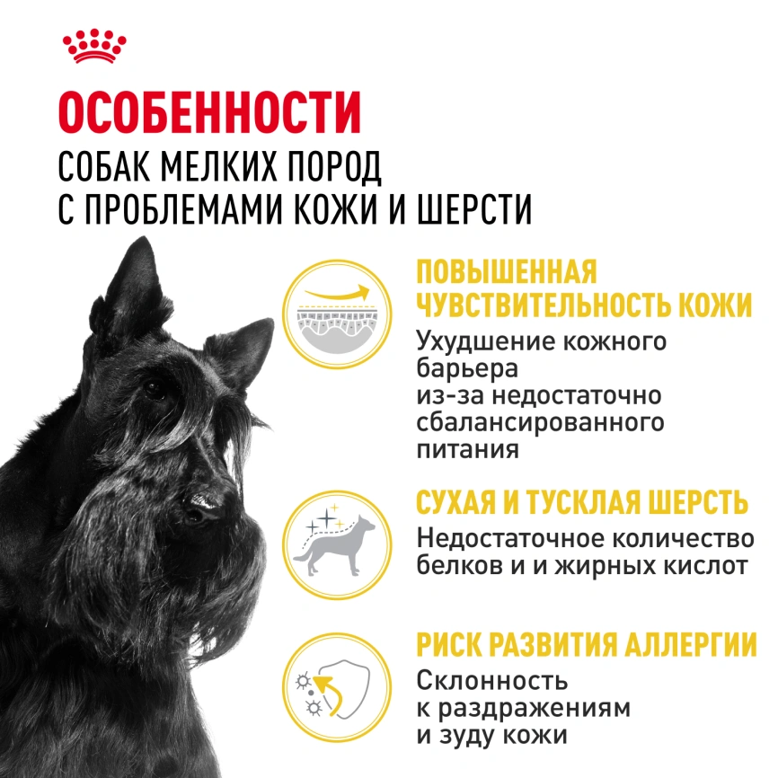 Сухой корм Royal Canin Mini Dermacomfort для собак, 3 кг фото 2
