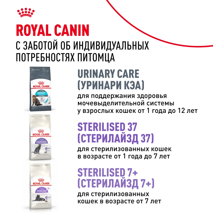 Сухой корм Royal Canin Ageing Sterilised 12+ для стерилизованных кошек старше 12 лет, 2 кг фото 9