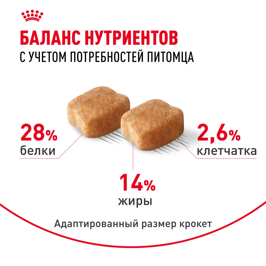 Сухой корм Royal Canin Dachshund Adult для собак породы такса, 7.5 кг фото 4