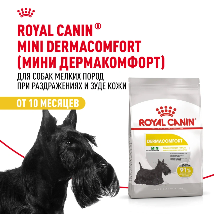 Сухой корм Royal Canin Mini Dermacomfort для собак, 1 кг фото 13