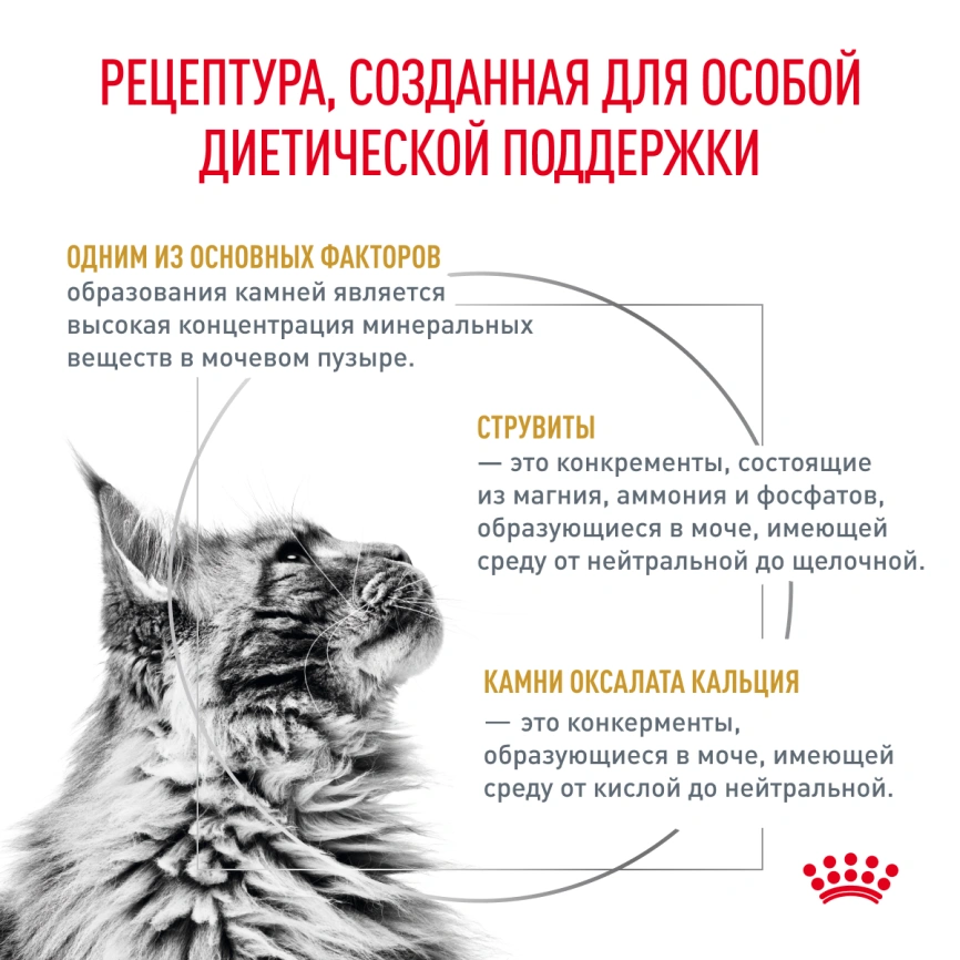 Сухой корм Royal Canin Urinary S/O для кошек при мочекаменной болезни, 3.5 кг фото 2