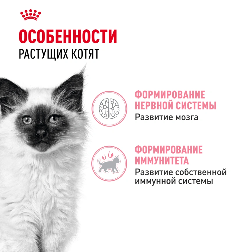 Влажный корм Royal Canin Kitten в желе для котят до 12 месяцев, пауч, 85 г фото 2