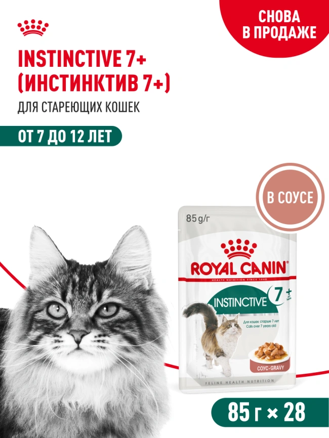 Влажный корм Royal Canin Instinctive 7+ в соусе для кошек старше 7 лет, пауч, 85 г фото 13