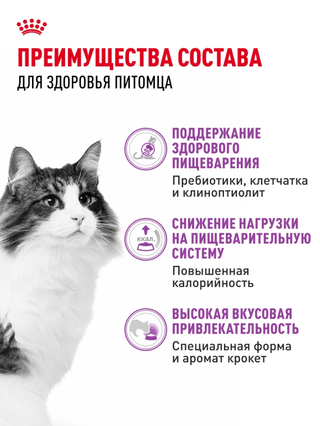 Сухой корм Royal Canin Sensible для кошек, 2 кг фото 18