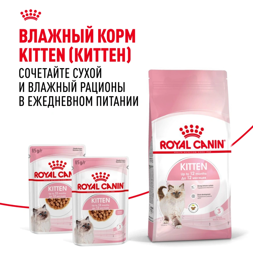 Сухой корм Royal Canin Kitten для котят, 1.2 кг фото 8