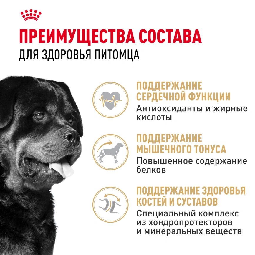 Сухой корм Royal Canin Rottweiler Adult для взрослых собак, 12 кг фото 3