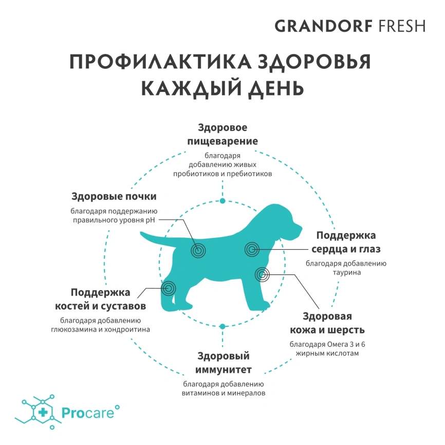Сухой корм Grandorf Fresh Dog для щенков всех пород беременных и кормящих собак беззерновой ягненок с бататом 1 кг фото 4