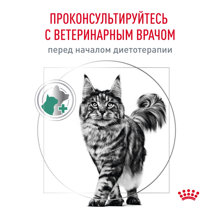 Влажный диетический корм Royal Canin Diabetic для кошек при сахарном диабете, пауч, 85 г фото 12
