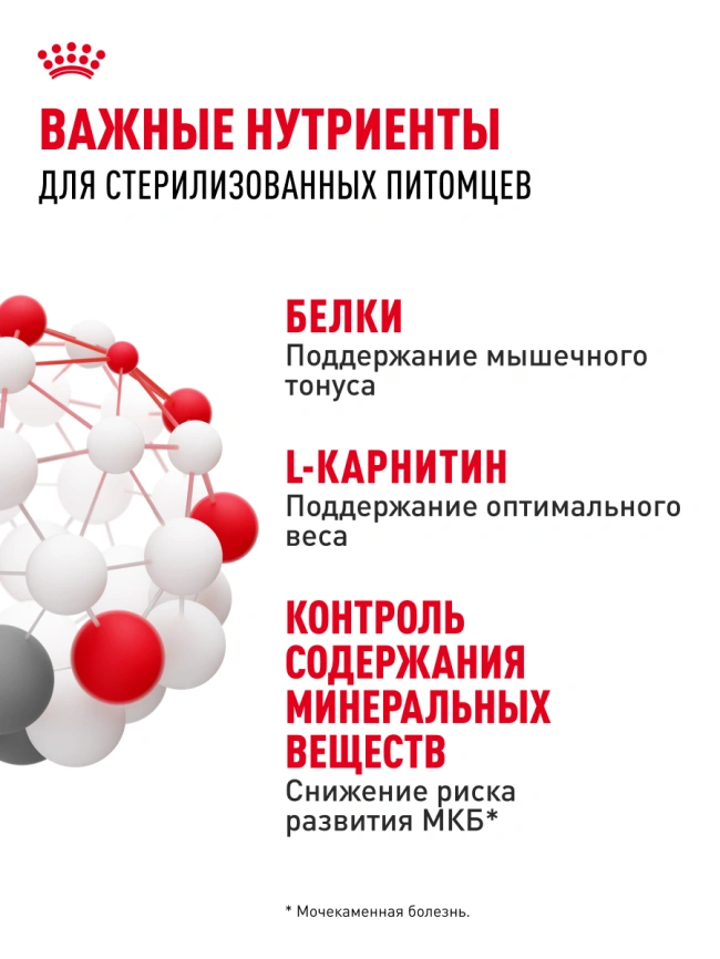 Сухой корм Royal Canin Sterilised для кастрированных котов и стерилизованных кошек, 2 кг фото 25