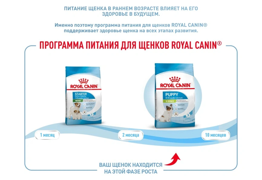 Сухой корм Royal Canin X-Small Puppy для щенков, 3 кг фото 12