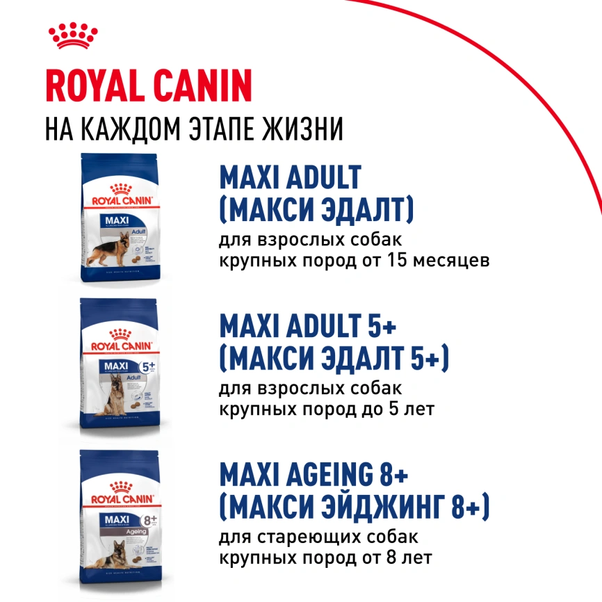 Сухой корм Royal Canin Maxi Puppy для щенков, 3 кг фото 9