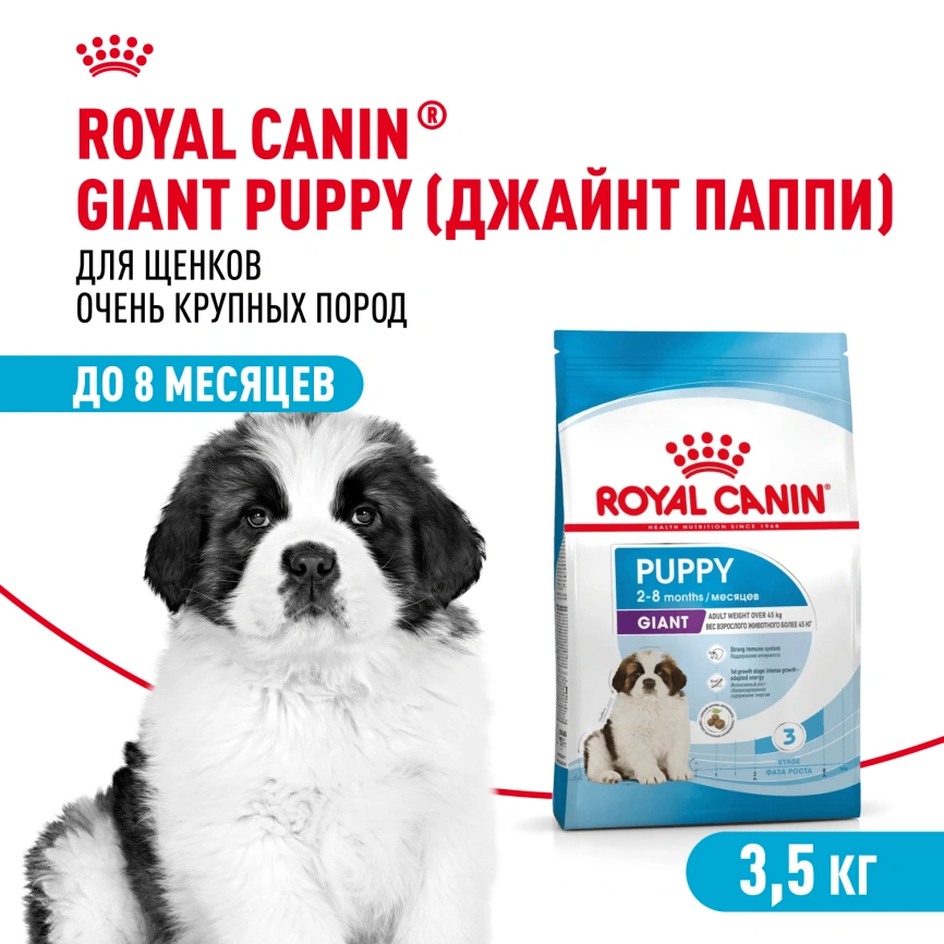 Сухой корм Royal Canin Giant Puppy для щенков, 3.5 кг фото 1