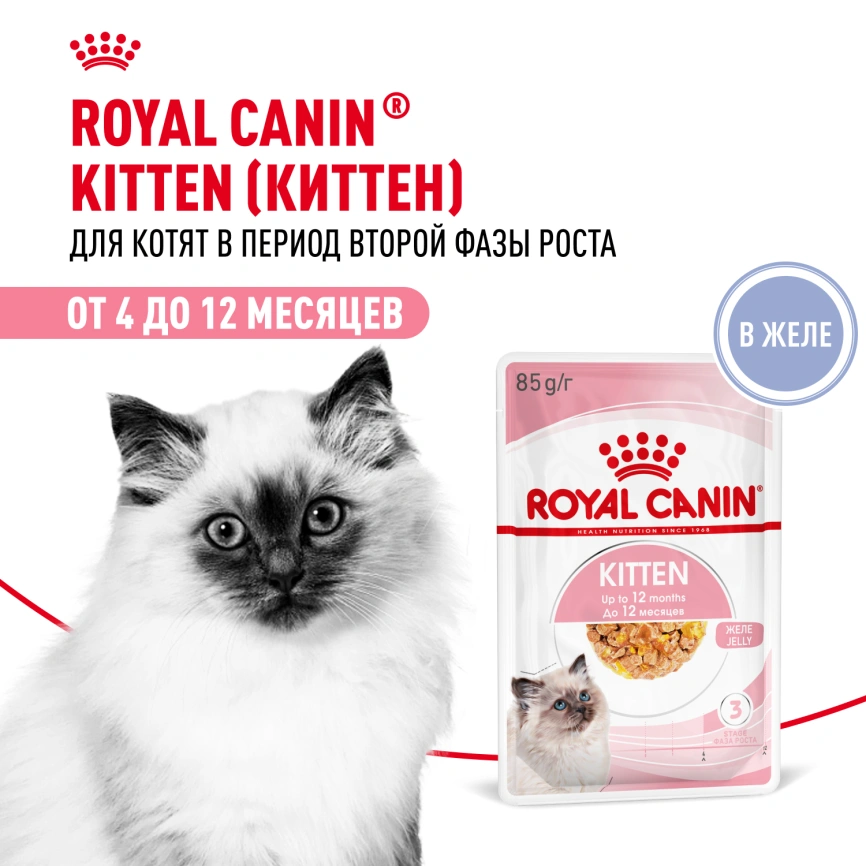 Влажный корм Royal Canin Kitten в желе для котят до 12 месяцев, пауч, 85 г фото 13