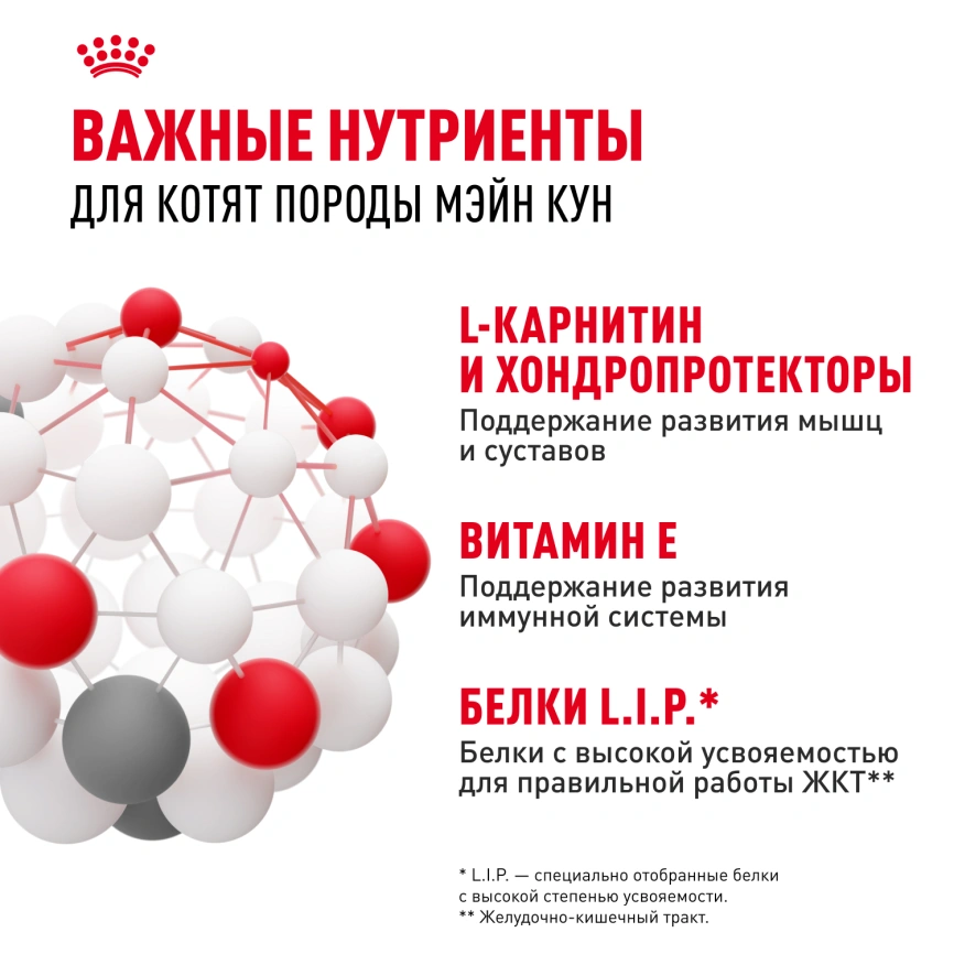 Влажный корм Royal Canin Maine Coon Kitten в соусе для котят породы мейн-кун и других крупных пород старше 3 месяцев, пауч, 85 г фото 5