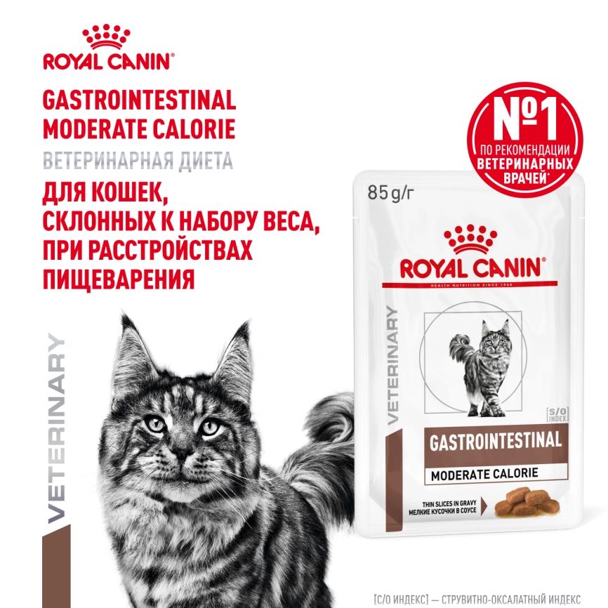 Влажный диетический корм Royal Canin Gastrointestinal Moderate Calorie для кошек при расстройствах пищеварения, склонных к набору веса, пауч, 85 г фото 16