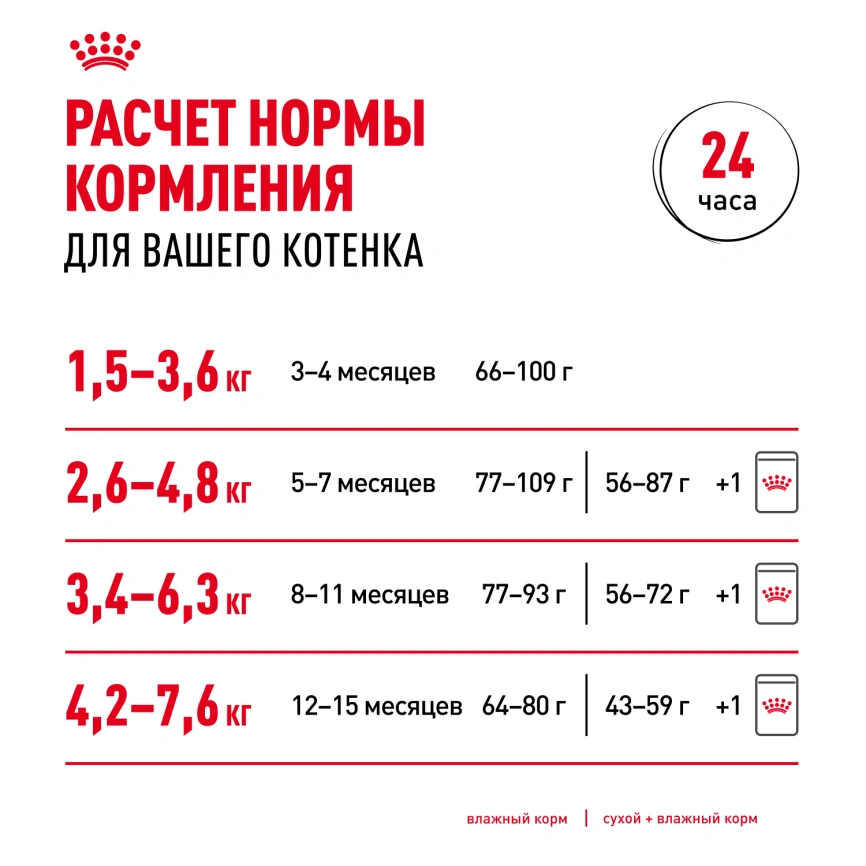 Влажный корм Royal Canin Maine Coon Kitten в соусе для котят породы мейн-кун и других крупных пород старше 3 месяцев, пауч, 85 г фото 8
