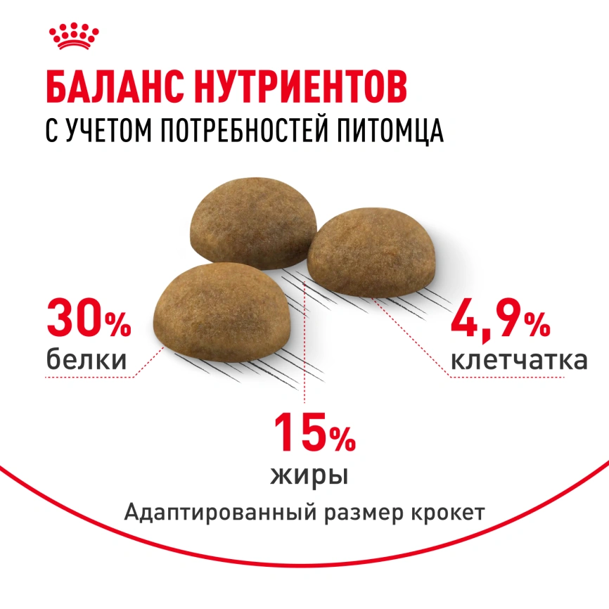 Сухой корм Royal Canin Indoor Long Hair для кошек, 10 кг фото 4