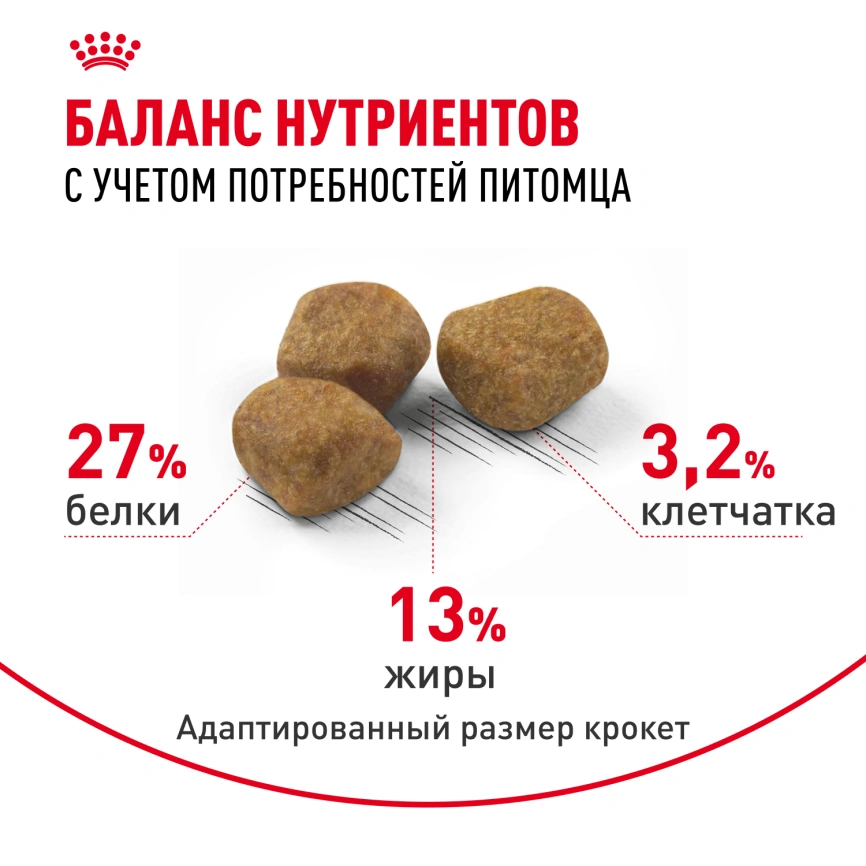Сухой корм Royal Canin Indoor 7+ для кошек, 3,5 кг фото 7
