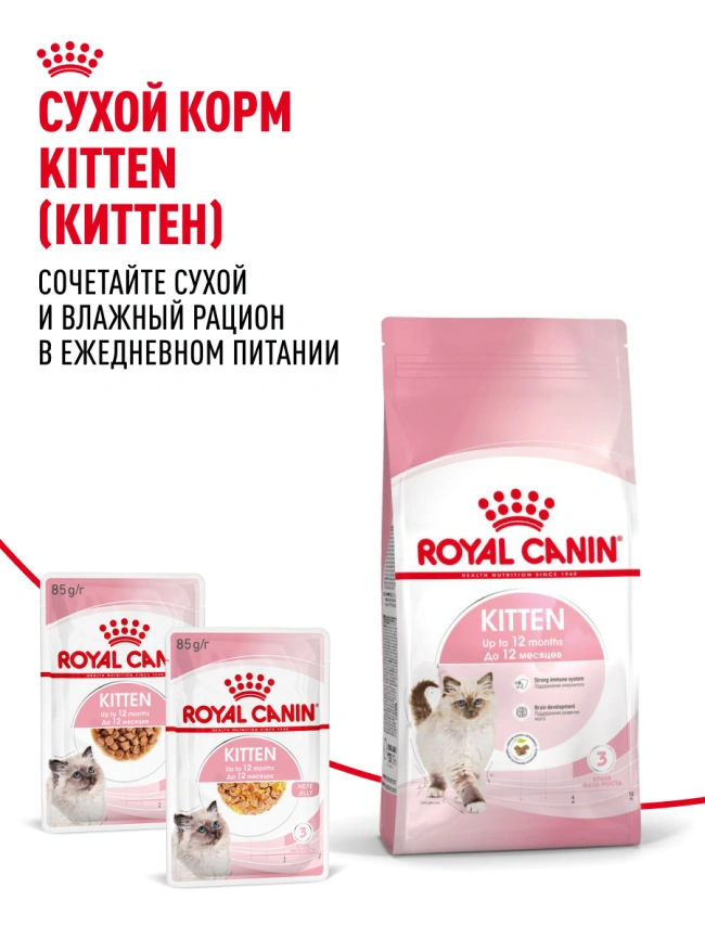 Влажный корм Royal Canin Kitten в соусе для котят до 12 месяцев, пауч, 85 г фото 22