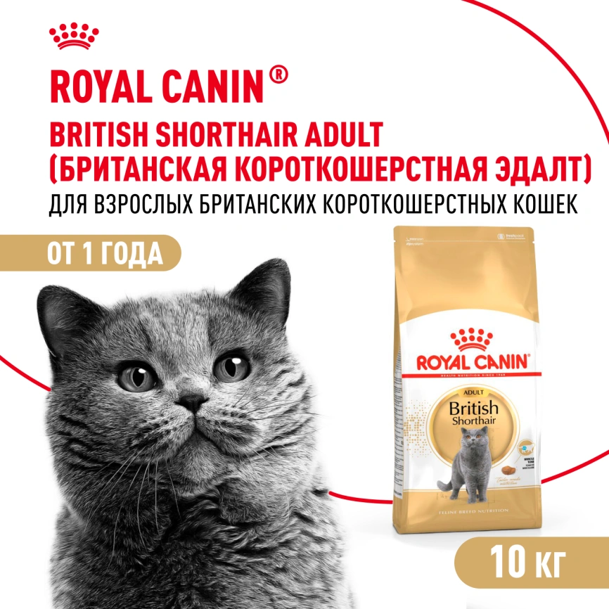 Сухой корм Royal Canin British Shorthair для кошек породы британская короткошерстная, 10 кг фото 1