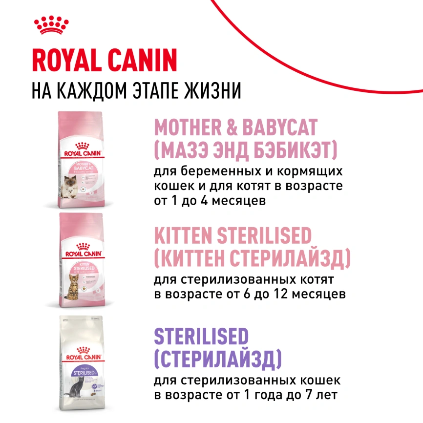 Сухой корм Royal Canin Kitten для котят, 300 г фото 11