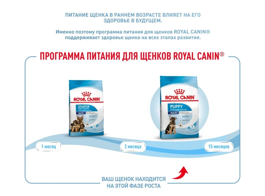 Сухой корм Royal Canin Maxi Puppy для щенков, 15 кг фото 13