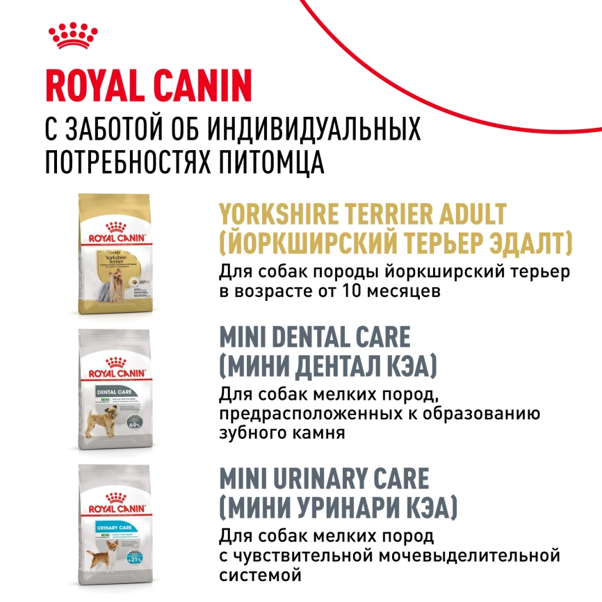 Сухой корм Royal Canin Yorkshire Terrier Adult 8+ для собак породы йоркширский терьер, 500 г фото 10