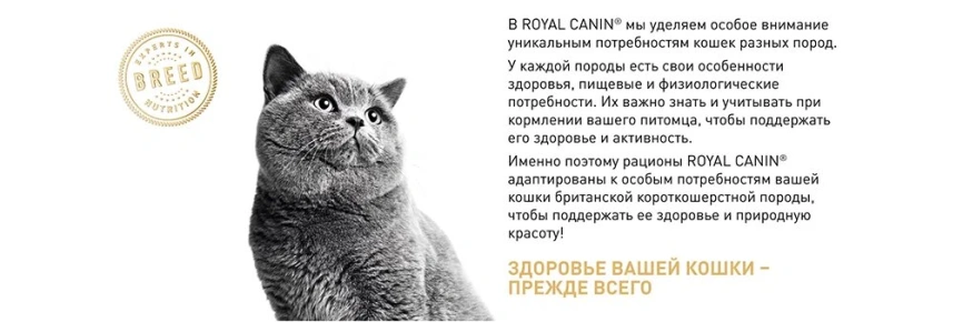Сухой корм Royal Canin British Shorthair для кошек породы британская короткошерстная, 400 г фото 16