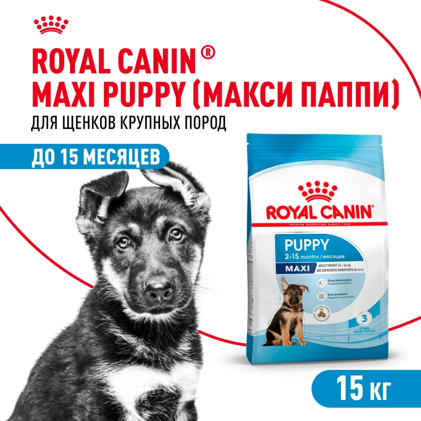 Сухой корм Royal Canin Maxi Puppy для щенков, 15 кг фото 1