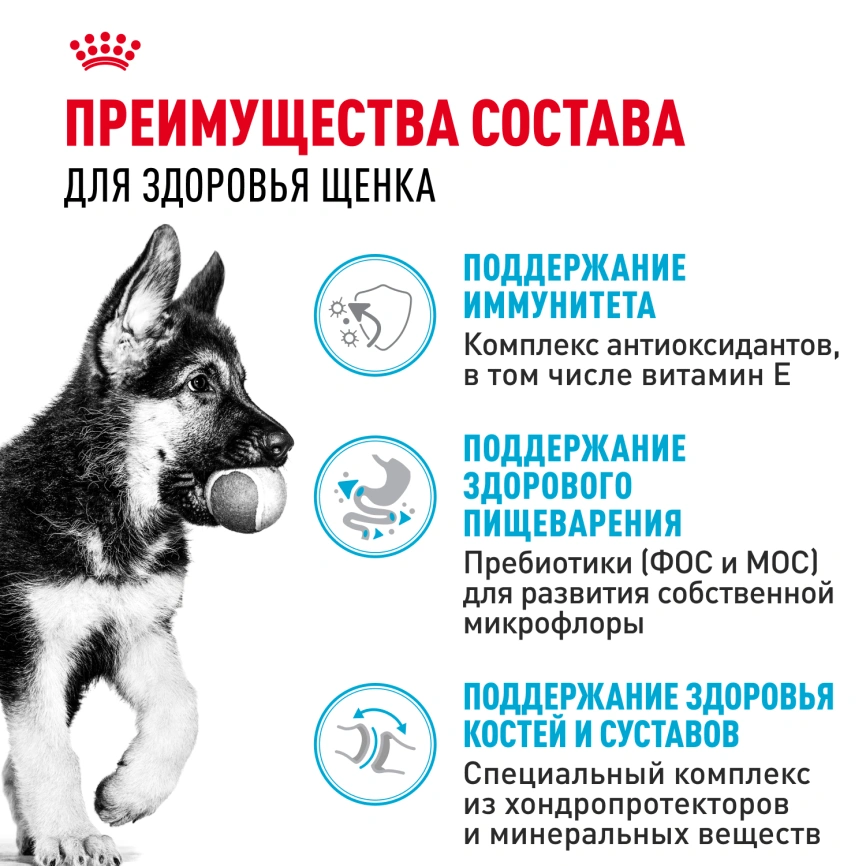 Сухой корм Royal Canin German Shepherd Puppy для щенков, 12 кг фото 3