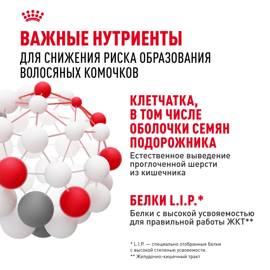 Сухой корм Royal Canin Hairball Care для кошек, 2 кг фото 5