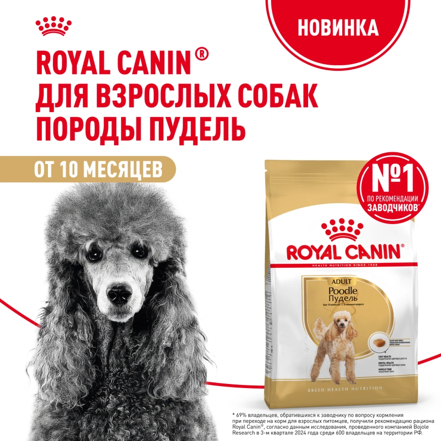 Сухой корм Royal Canin Poodle Adult для взрослых собак, 3 кг фото 12
