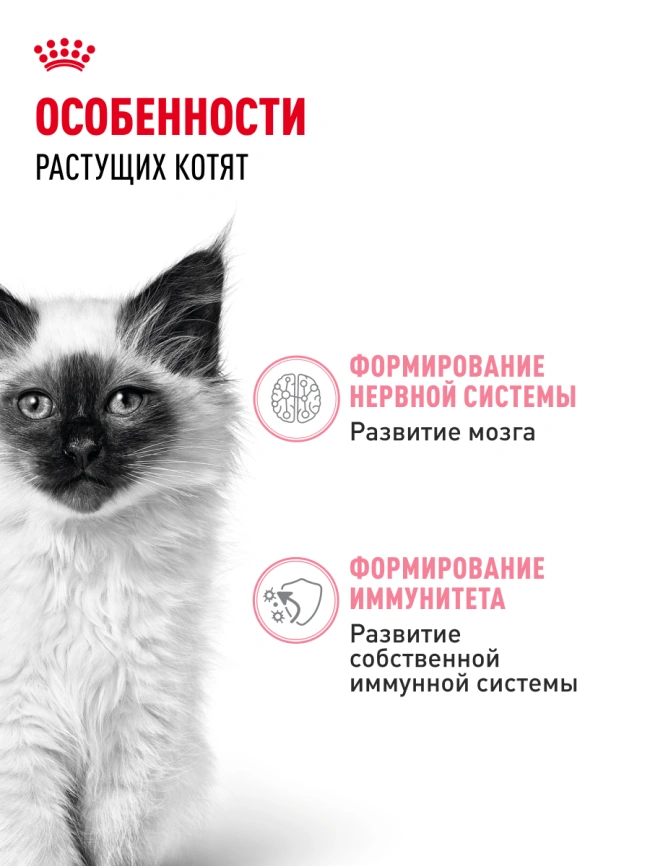 Влажный корм Royal Canin Kitten в соусе для котят до 12 месяцев, пауч, 85 г фото 2