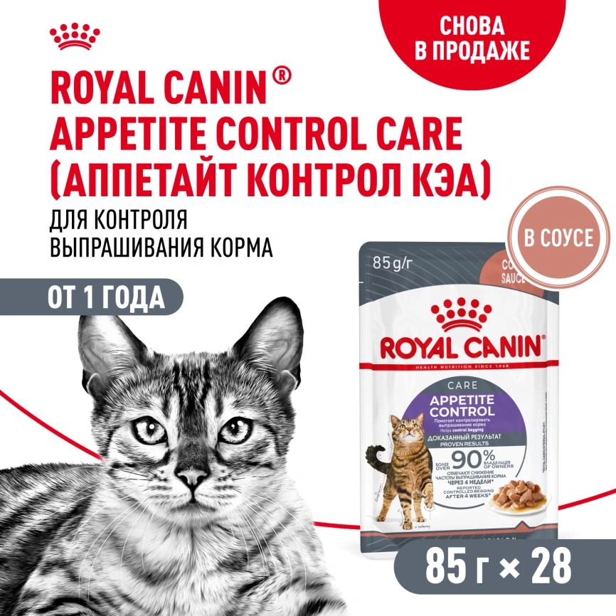 Влажный корм Royal Canin Appetite Control Care в соусе для взрослых кошек, для контроля выпрашивания корма, пауч, 85 г фото 12