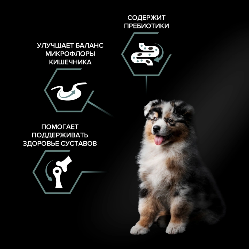 Сухой корм Purina Pro Plan Medium Puppy Sensitive Digestion для щенков средних пород, ягнёнок и рис, 18 кг фото 2
