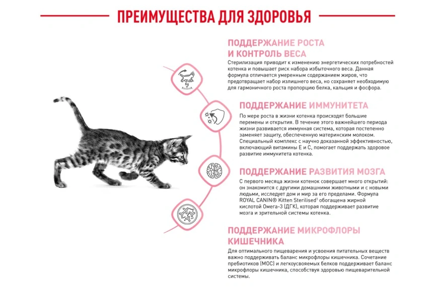 Сухой корм Royal Canin Kitten Sterilised для котят, 3.5 кг фото 18