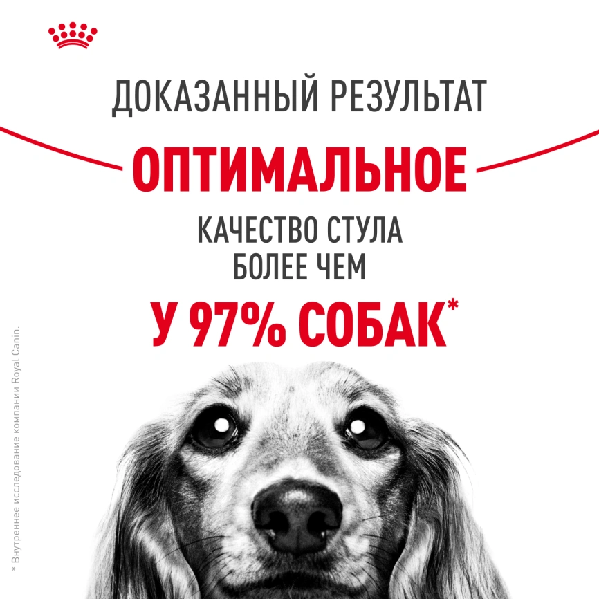 Сухой корм Royal Canin Medium Digestive Care для собак, 12 кг фото 9