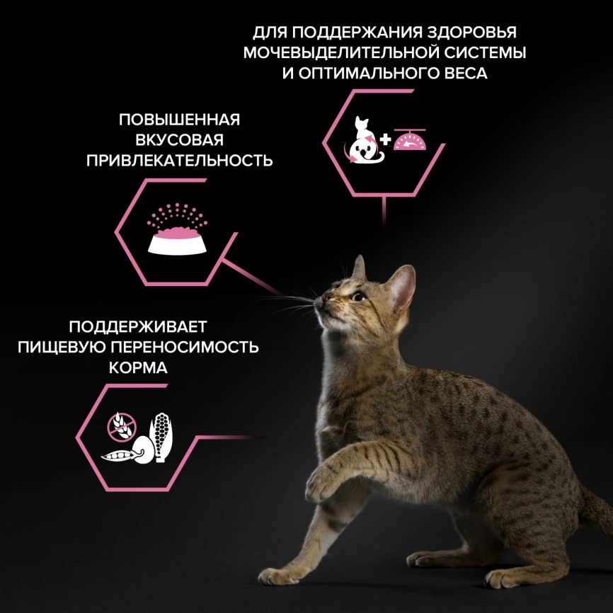 Сухой корм Purina Pro Plan Cat Sterilised Chicken Opti-Digest для стерилизованных кошек, с курицей, 10 кг фото 2