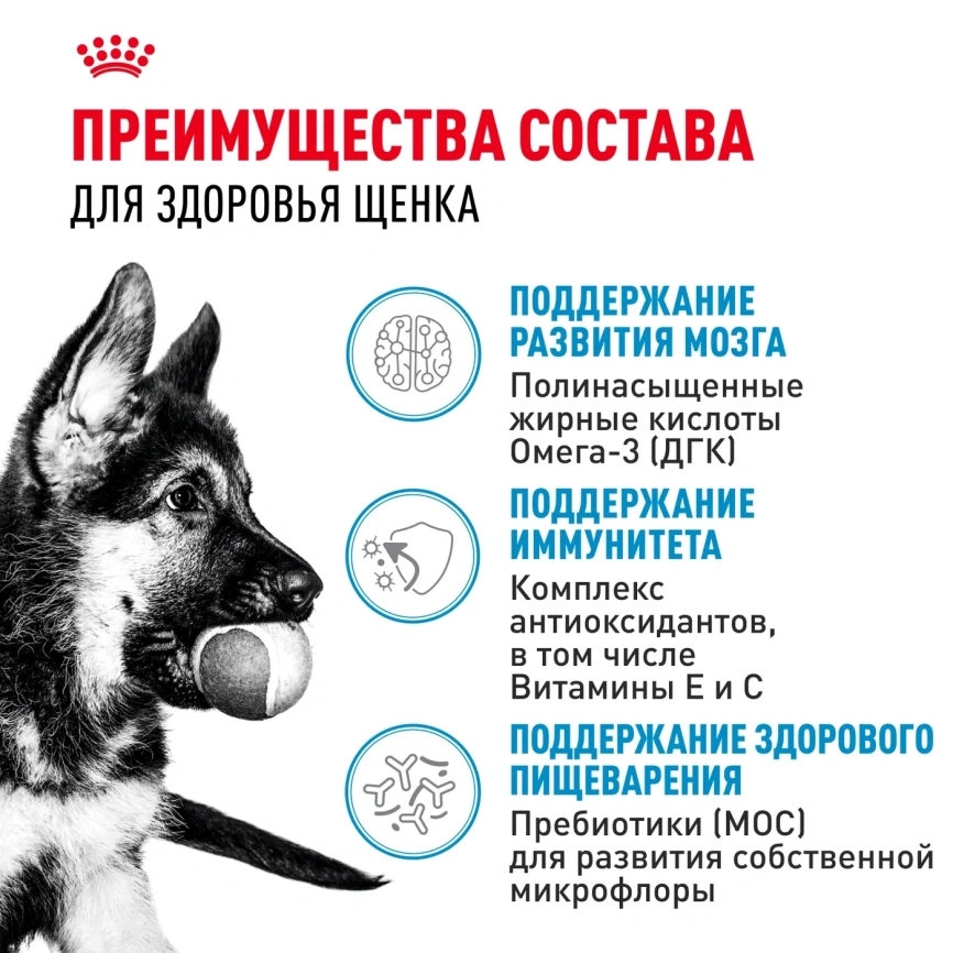 Влажный корм Royal Canin Maxi Puppy для щенков крупных пород в соусе, 100 г фото 3