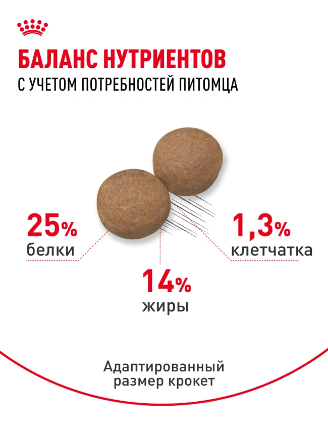 Сухой корм Royal Canin Medium Adult для собак, 3 кг фото 16