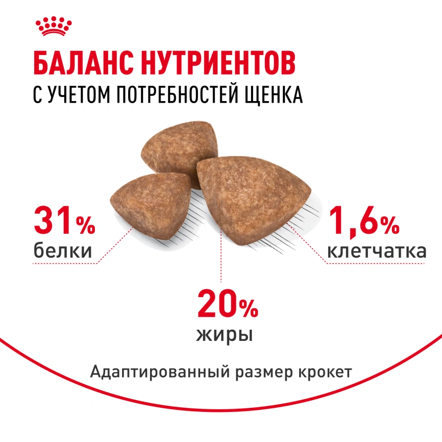 Сухой корм Royal Canin X-Small Puppy для щенков, 500 г фото 5