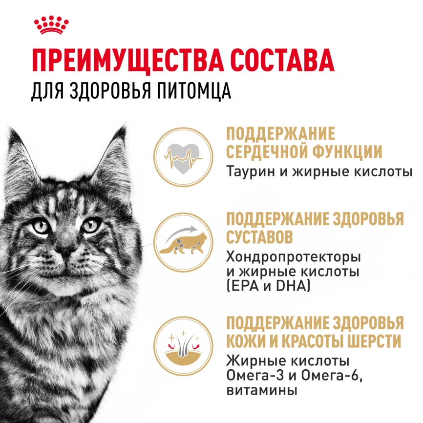 Влажный корм Royal Canin Maine Coon в соусе для кошек породы мейн-кун и других крупных пород старше 1 года, пауч, 85 г фото 3