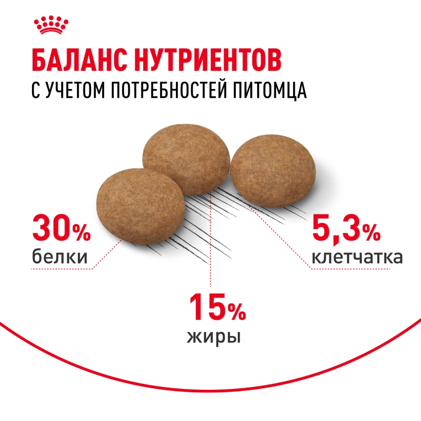 Сухой корм Royal Canin Ageing Sterilised 12+ для стерилизованных кошек старше 12 лет, 2 кг фото 4